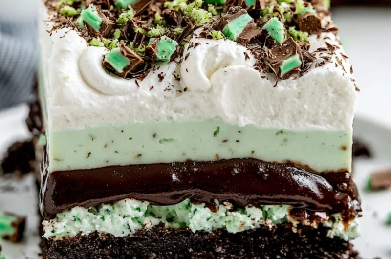 Delicious Chocolate Mint Lasagna dessert with layers of mint and chocolate