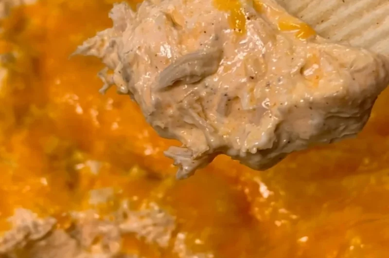 Delicious cozy chicken taco dip served in a bowl with tortilla chips.