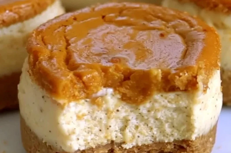Cozy mini pumpkin cheesecakes topped with whipped cream and autumn spices
